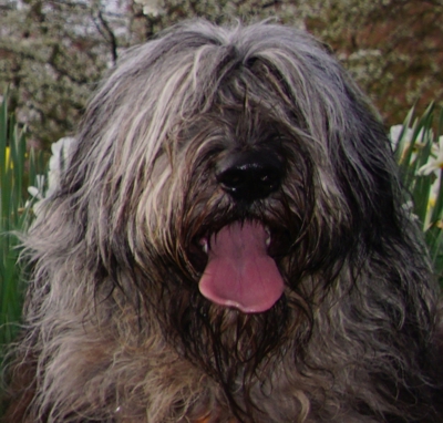 Elwood